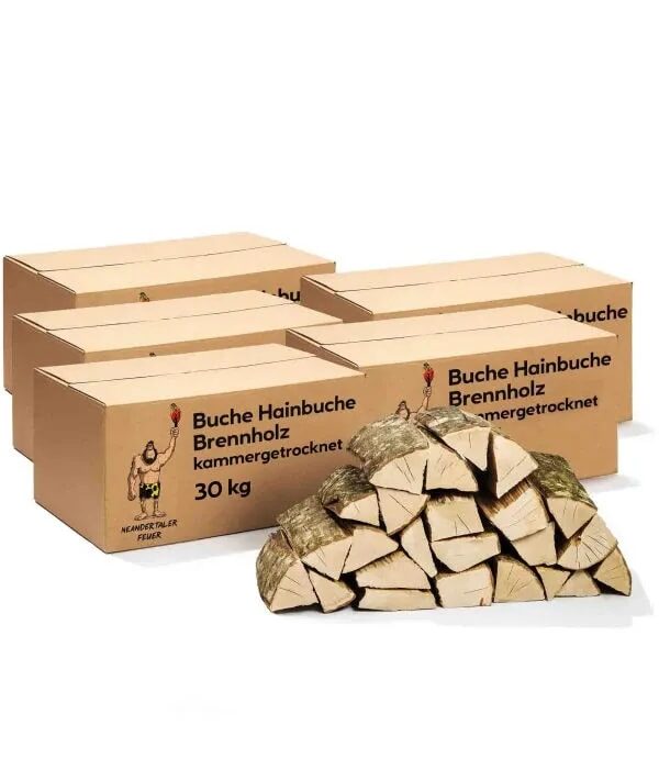 Brennholz Buche Hainbuche 240kg