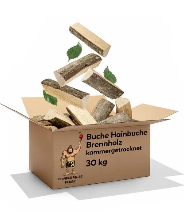 Brennholz Buche Hainbuche 300kg