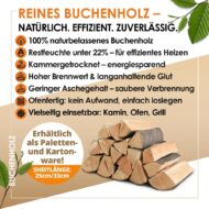 🔥 Brennholz Buche kammergetrocknet 1,6 SRM (1RM) | Scheitlänge 25 cm – Bild 2